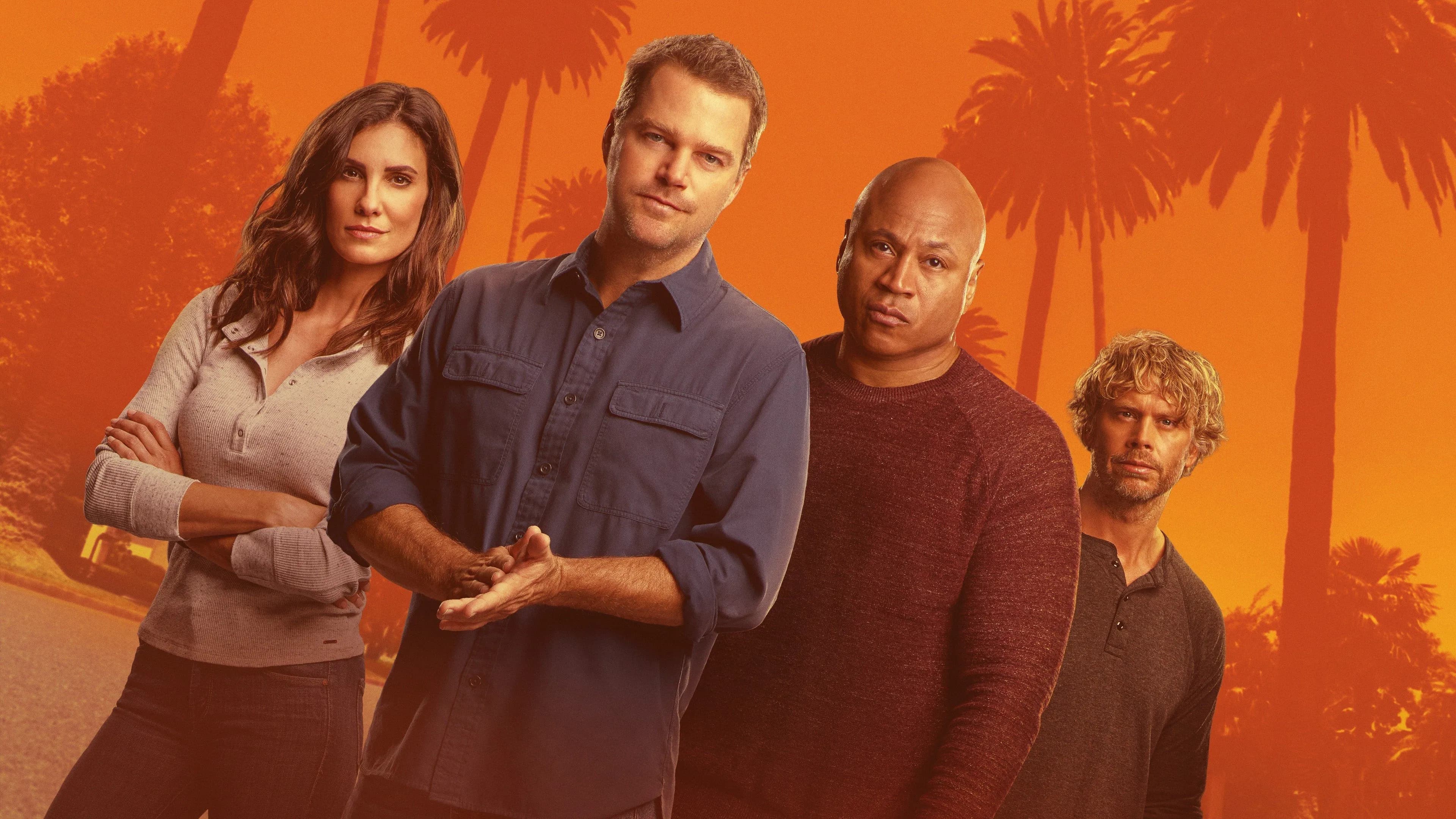 Backdrop for NCIS: Los Angeles