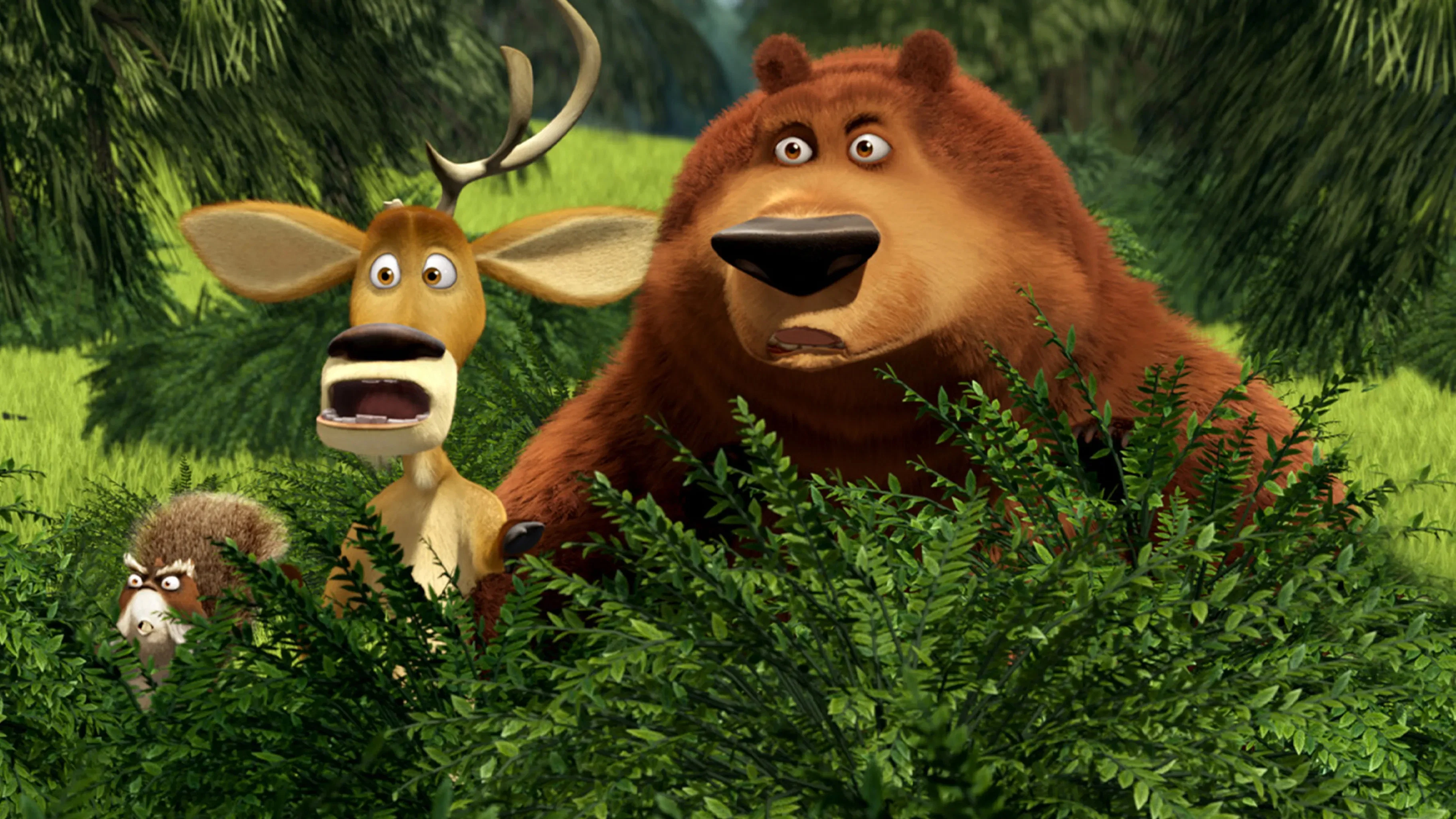 Backdrop for Open Season 2