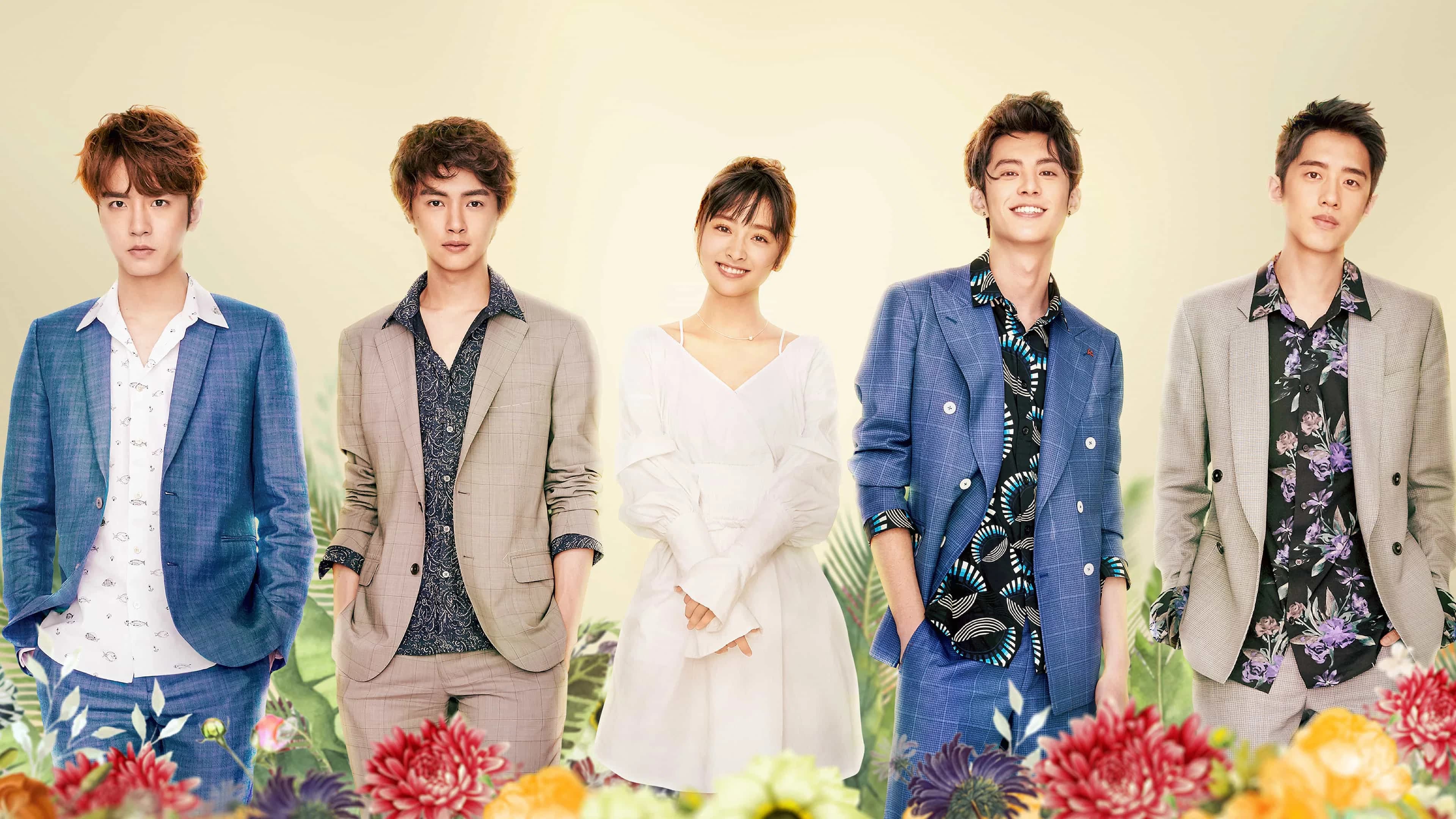 Backdrop for Meteor Garden