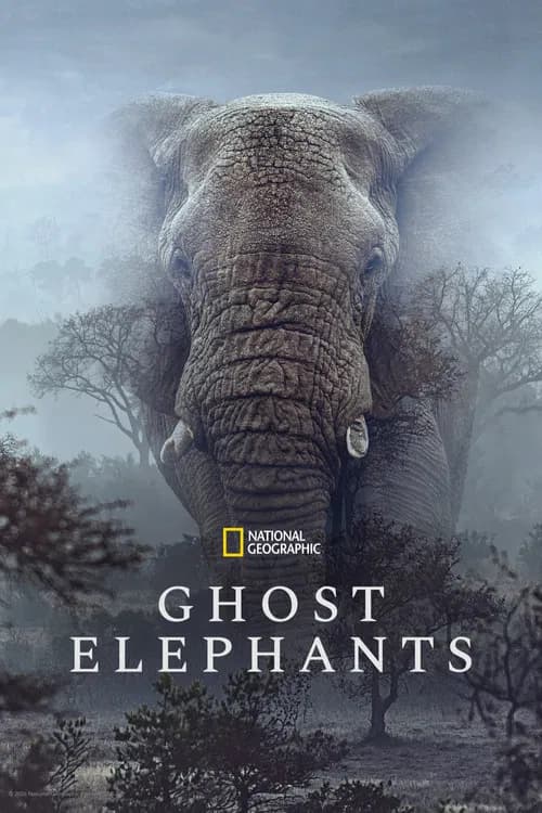 Ghost Elephants poster