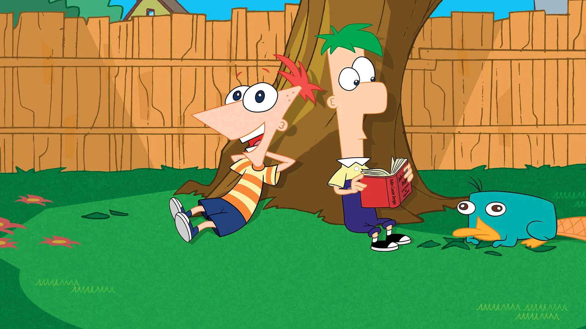 Backdrop for Phineas and Ferb